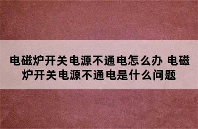 电磁炉开关电源不通电怎么办 电磁炉开关电源不通电是什么问题